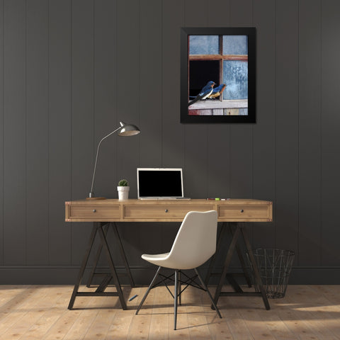 Barn Swallows Window Black Modern Wood Framed Art Print by Vest, Chris