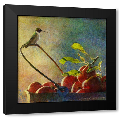 Apples and Hummer Black Modern Wood Framed Art Print with Double Matting by Vest, Chris