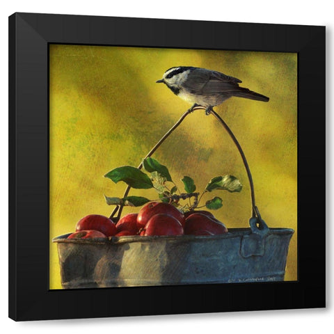 Apples and Chickadee Black Modern Wood Framed Art Print with Double Matting by Vest, Chris