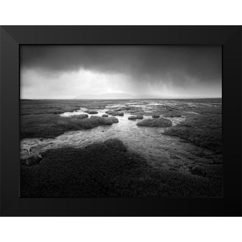 Scale Moor Black Modern Wood Framed Art Print by Henson, Martin