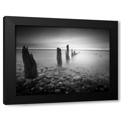 Soft Light Black Modern Wood Framed Art Print by Henson, Martin