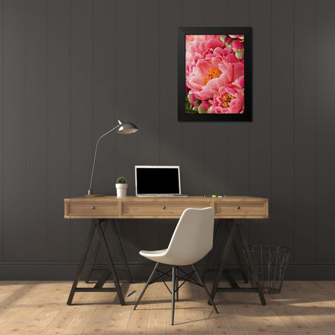 Coral Peonies II Black Modern Wood Framed Art Print by Perry, Rachel