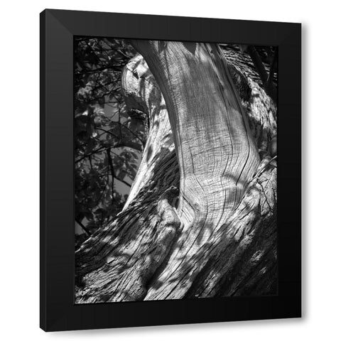 Texture Black Modern Wood Framed Art Print by Henson, Martin