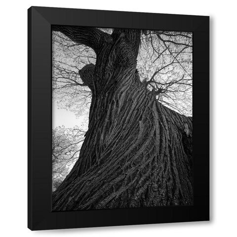 Twister Black Modern Wood Framed Art Print with Double Matting by Henson, Martin