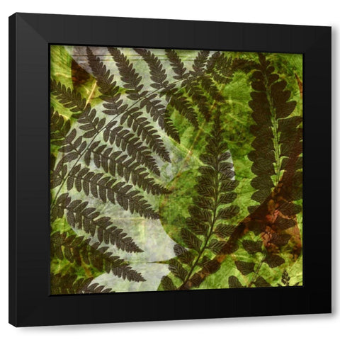 Shade I Black Modern Wood Framed Art Print with Double Matting by Archie, K.