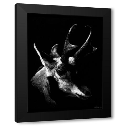 Wildlife Scratchboards II Black Modern Wood Framed Art Print with Double Matting by Chapman, Julie T.