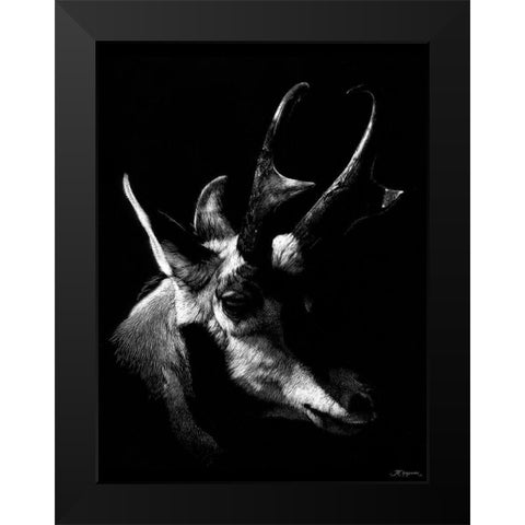 Wildlife Scratchboards II Black Modern Wood Framed Art Print by Chapman, Julie T.