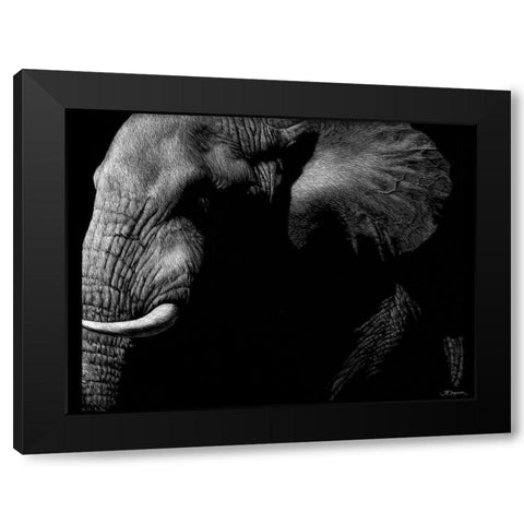 Wildlife Scratchboards III Black Modern Wood Framed Art Print with Double Matting by Chapman, Julie T.