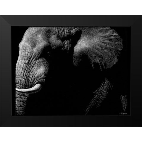 Wildlife Scratchboards III Black Modern Wood Framed Art Print by Chapman, Julie T.