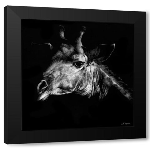Wildlife Scratchboards VI Black Modern Wood Framed Art Print by Chapman, Julie T.