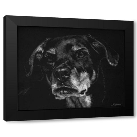 Canine Scratchboard XXII Black Modern Wood Framed Art Print with Double Matting by Chapman, Julie T.