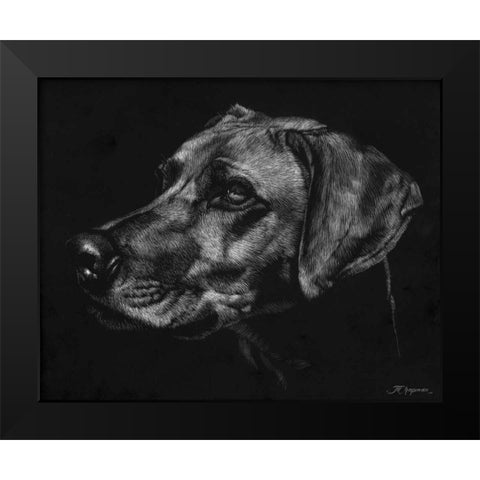 Canine Scratchboard XXVIII Black Modern Wood Framed Art Print by Chapman, Julie T.