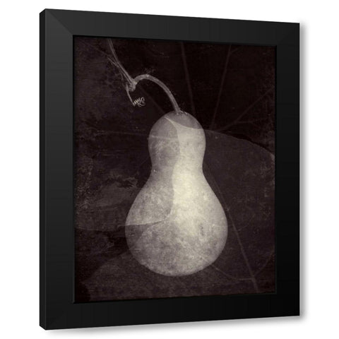 Gourd I Black Modern Wood Framed Art Print by Ray, Elena