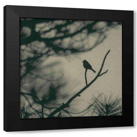Caligraphy Bird I Black Modern Wood Framed Art Print with Double Matting by Ray, Elena