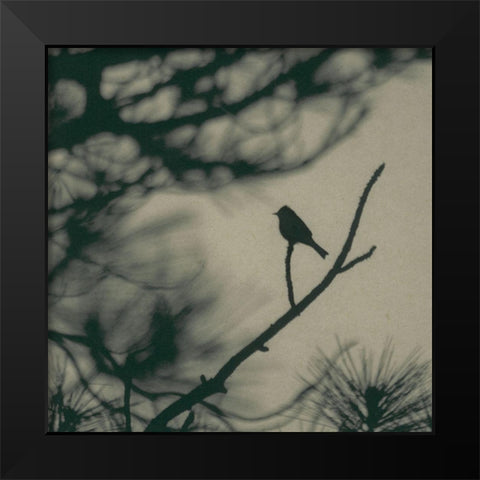 Caligraphy Bird I Black Modern Wood Framed Art Print by Ray, Elena