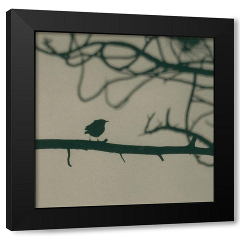Caligraphy Bird II Black Modern Wood Framed Art Print with Double Matting by Ray, Elena