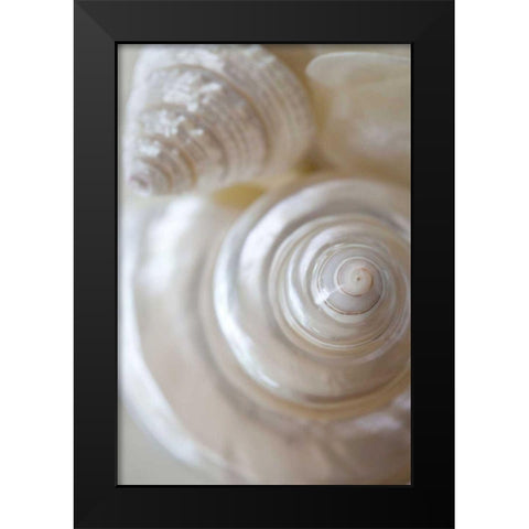 Pearlesce I Black Modern Wood Framed Art Print by Zalewski, Christine