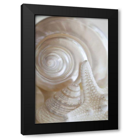 Pearlesce III Black Modern Wood Framed Art Print with Double Matting by Zalewski, Christine
