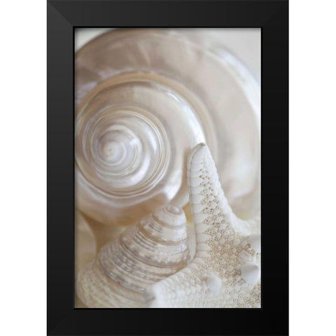Pearlesce III Black Modern Wood Framed Art Print by Zalewski, Christine