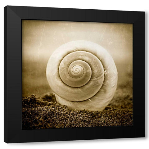 Cochlear III Black Modern Wood Framed Art Print by Hartson-Weddle, Ryan