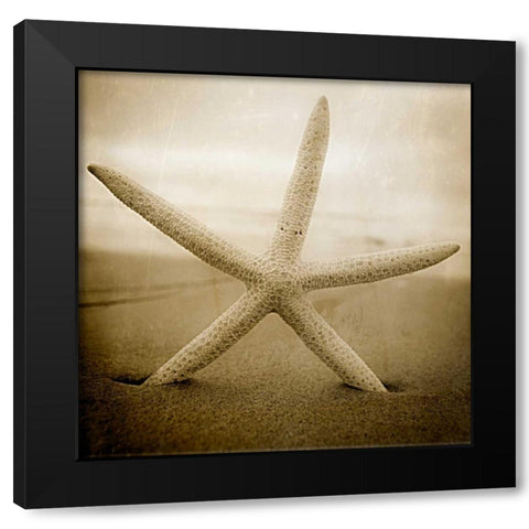 Right at Home Black Modern Wood Framed Art Print by Hartson-Weddle, Ryan