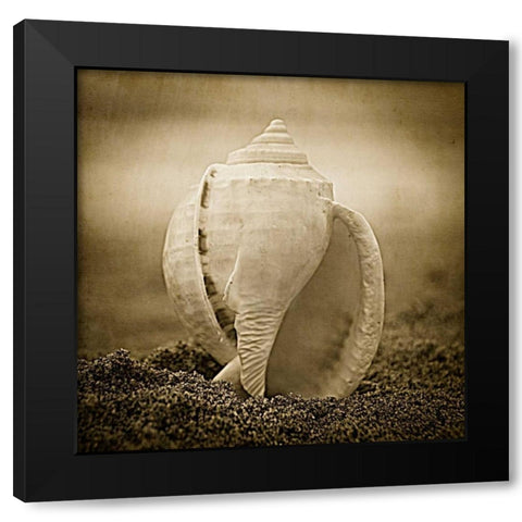 A Suitable Dwelling Black Modern Wood Framed Art Print by Hartson-Weddle, Ryan