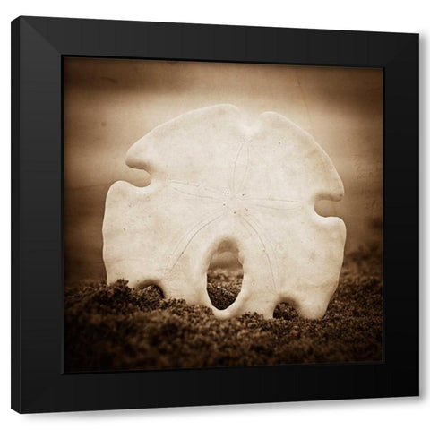 More Than a Dollars Worth Black Modern Wood Framed Art Print by Hartson-Weddle, Ryan