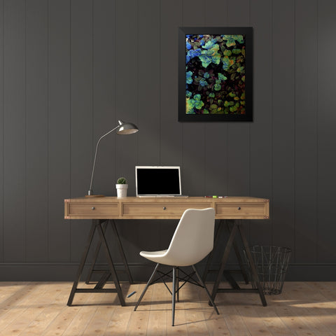 Luxurious II Black Modern Wood Framed Art Print by Harrington, Danielle