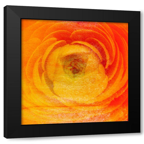 Relatives I Black Modern Wood Framed Art Print with Double Matting by Harrington, Danielle