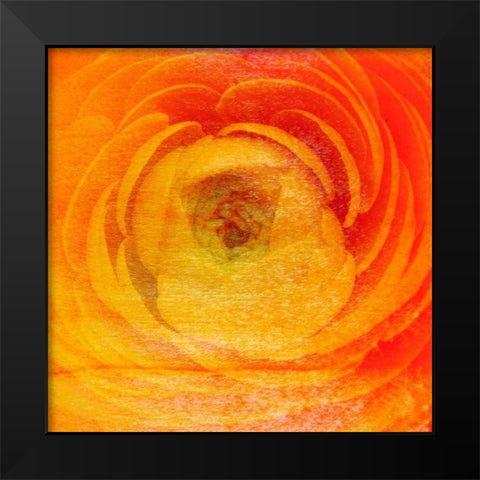 Relatives I Black Modern Wood Framed Art Print by Harrington, Danielle