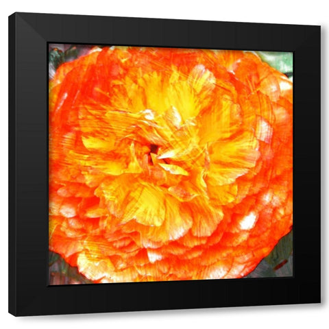 Relatives II Black Modern Wood Framed Art Print with Double Matting by Harrington, Danielle