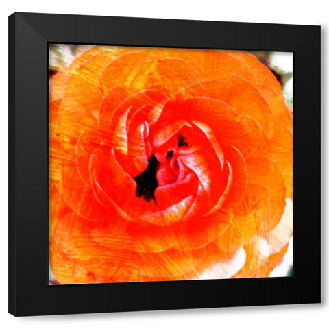 Relatives III Black Modern Wood Framed Art Print with Double Matting by Harrington, Danielle