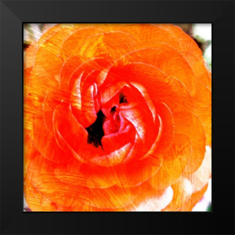 Relatives III Black Modern Wood Framed Art Print by Harrington, Danielle