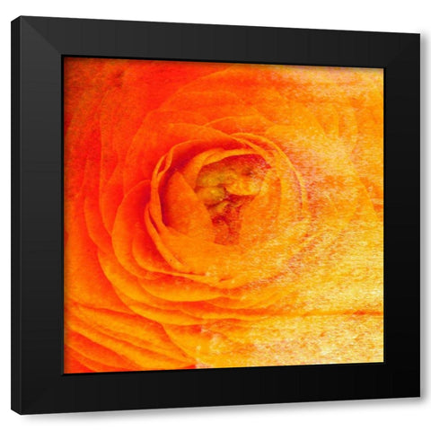 Relatives IV Black Modern Wood Framed Art Print by Harrington, Danielle