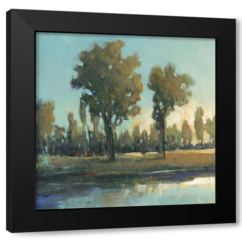 Early Morning Spring Black Modern Wood Framed Art Print by OToole, Tim