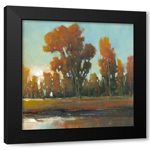 Late Afternoon Fall Black Modern Wood Framed Art Print by OToole, Tim