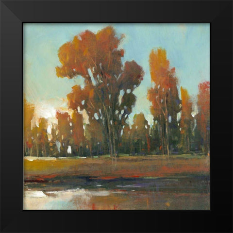 Late Afternoon Fall Black Modern Wood Framed Art Print by OToole, Tim