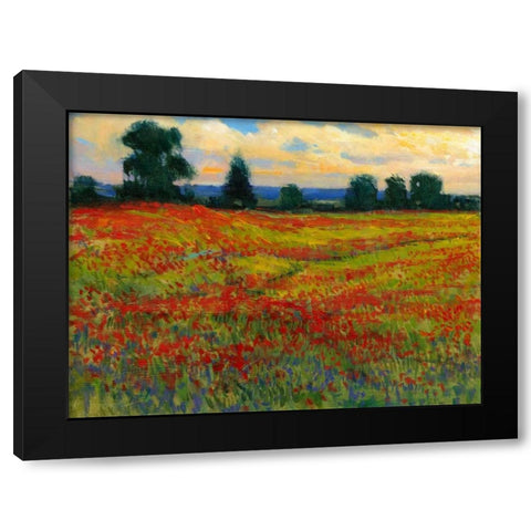 Red Field I Black Modern Wood Framed Art Print with Double Matting by OToole, Tim