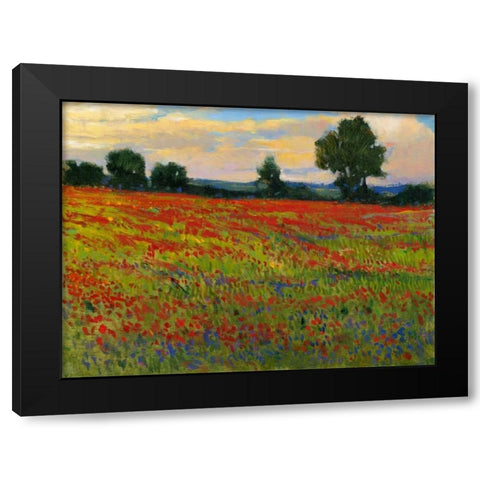 Red Field II Black Modern Wood Framed Art Print with Double Matting by OToole, Tim