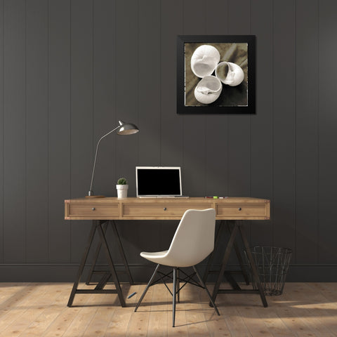 Equalized Shell Trio I Black Modern Wood Framed Art Print by James, Andrea