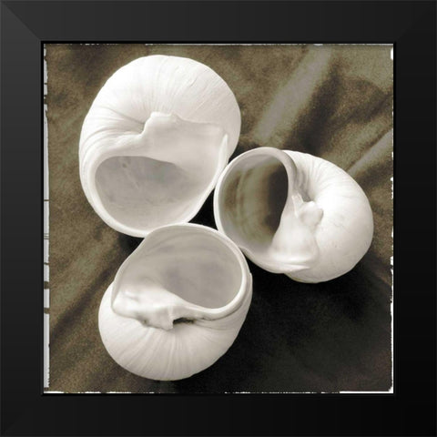 Equalized Shell Trio I Black Modern Wood Framed Art Print by James, Andrea