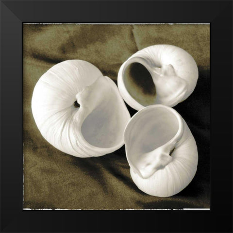 Equalized Shell Trio II Black Modern Wood Framed Art Print by James, Andrea