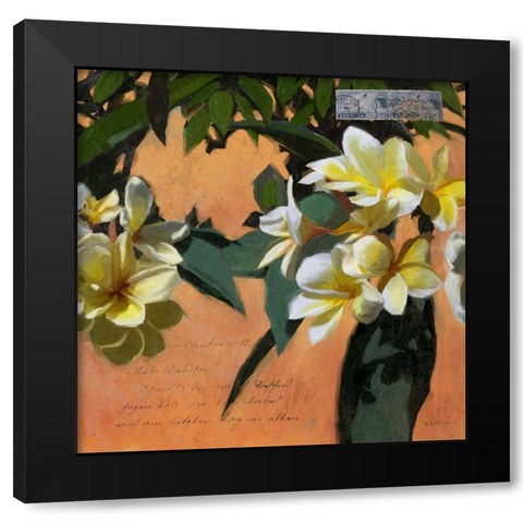 Plumeria and Postage I Black Modern Wood Framed Art Print by Novak, Rick