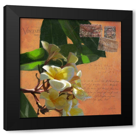 Plumeria and Postage II Black Modern Wood Framed Art Print with Double Matting by Novak, Rick