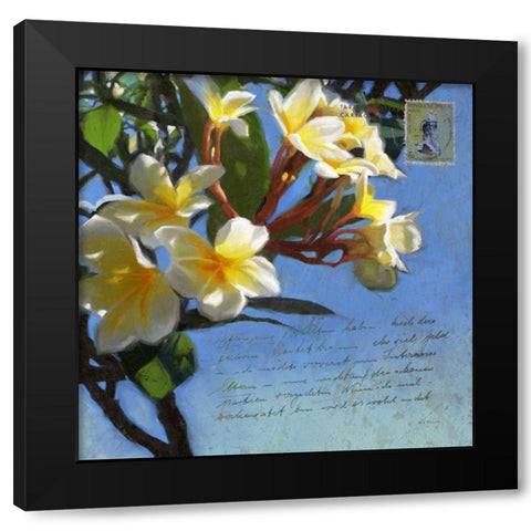 Plumeria and Postage III Black Modern Wood Framed Art Print with Double Matting by Novak, Rick