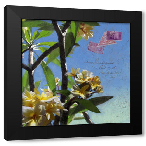 Plumeria and Postage IV Black Modern Wood Framed Art Print with Double Matting by Novak, Rick
