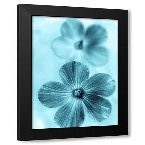 Forget Me Not Blue I Black Modern Wood Framed Art Print by Teton Parchment