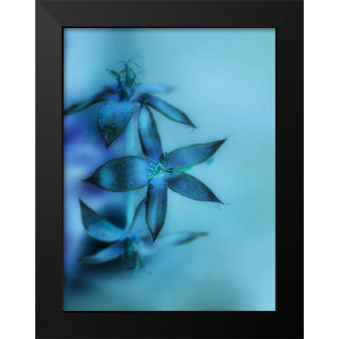 Falling Forward II Black Modern Wood Framed Art Print by Teton Parchment