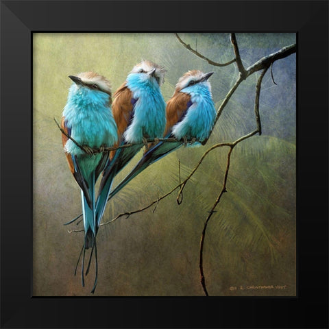 Rollers Black Modern Wood Framed Art Print by Vest, Chris