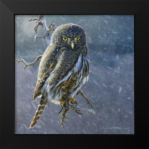 Owl in Winter II Black Modern Wood Framed Art Print by Vest, Chris